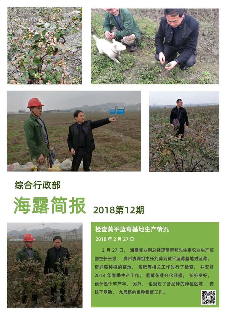 万利官网-相信品牌力量