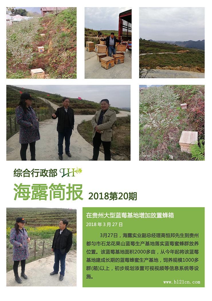 万利官网-相信品牌力量