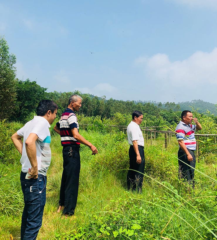 万利官网-相信品牌力量