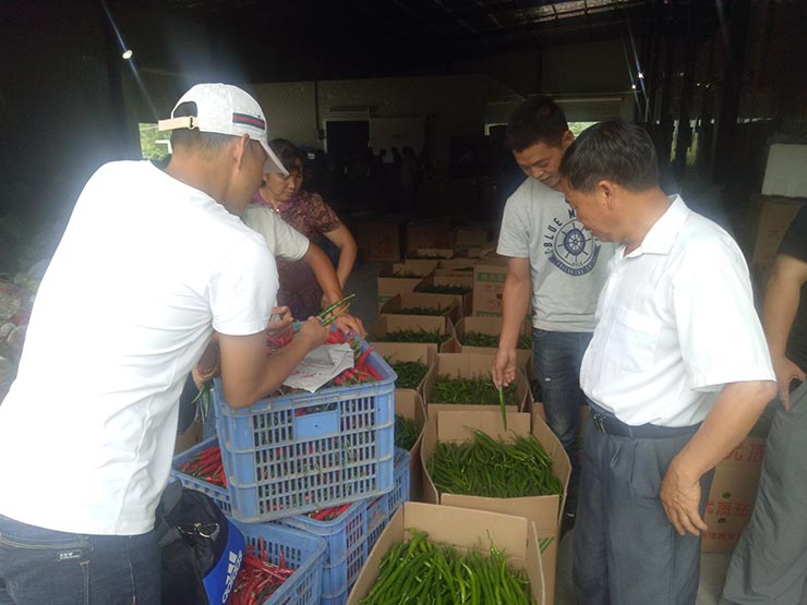 万利官网-相信品牌力量