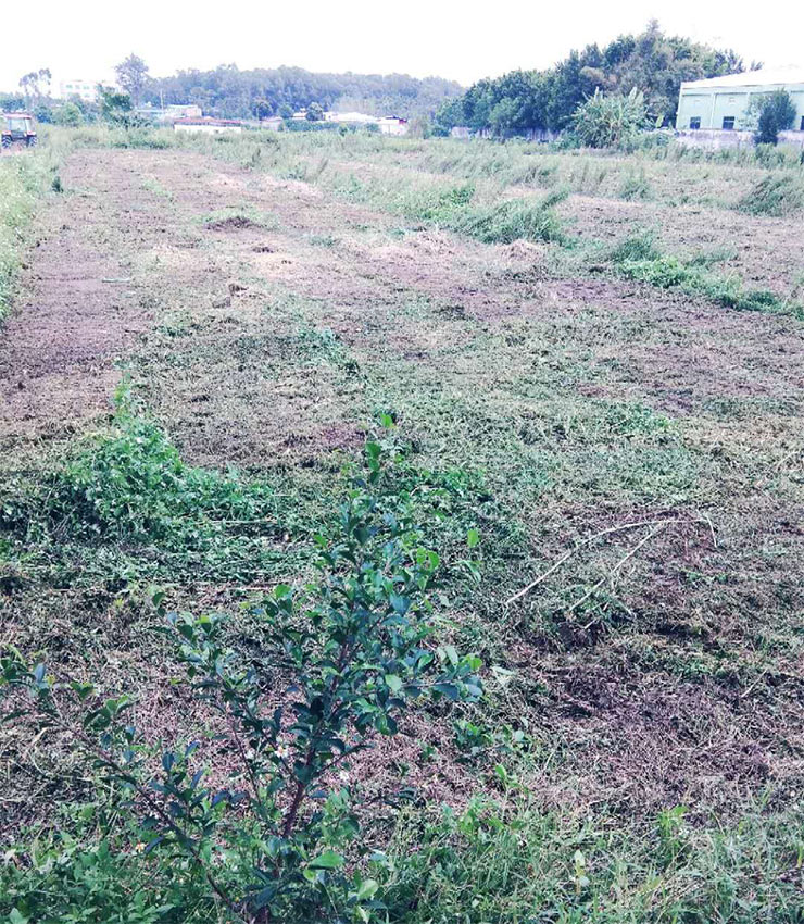 万利官网-相信品牌力量