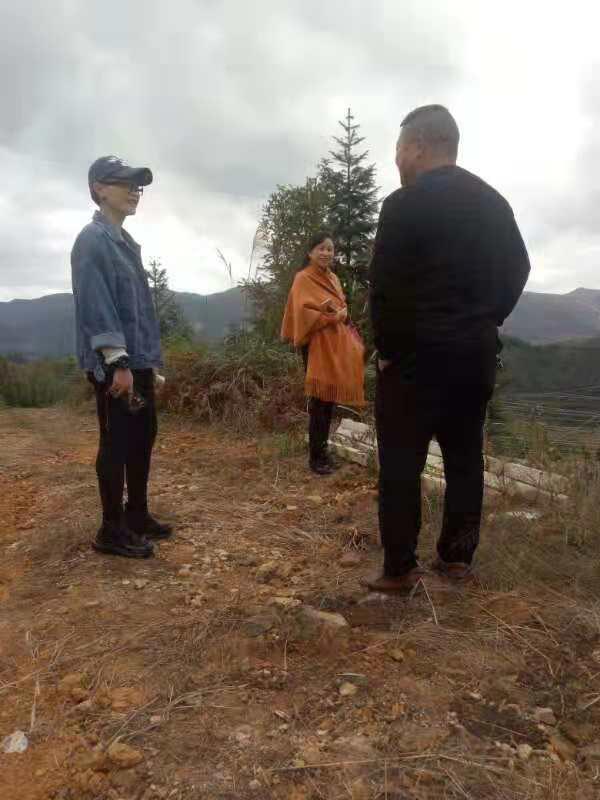 万利官网-相信品牌力量