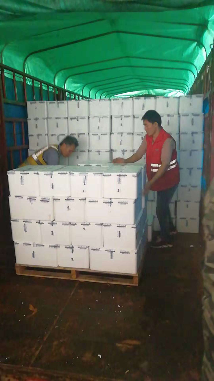 万利官网-相信品牌力量