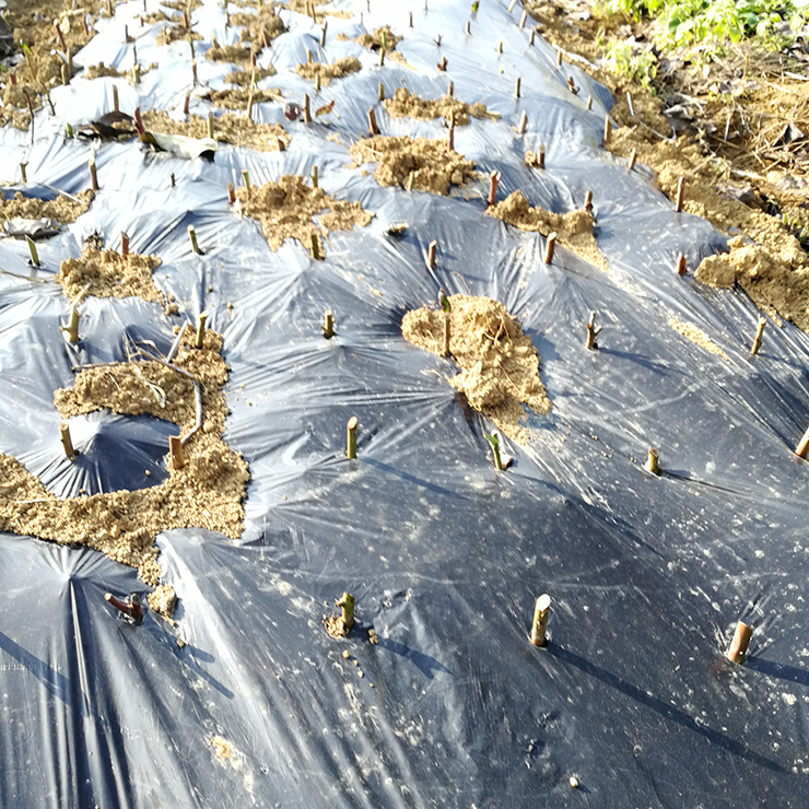 万利官网-相信品牌力量