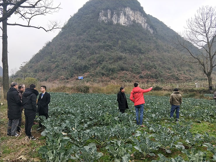 万利官网-相信品牌力量