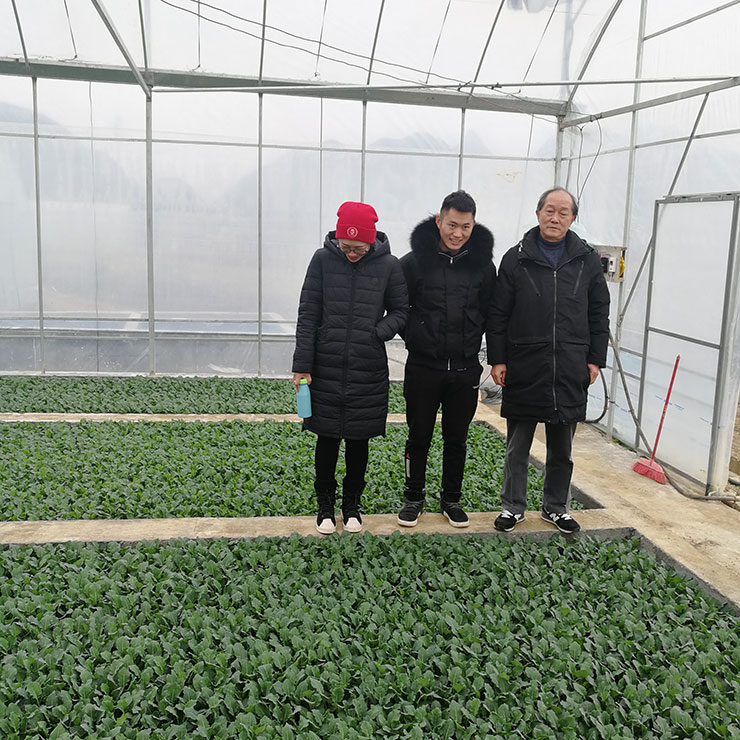 万利官网-相信品牌力量