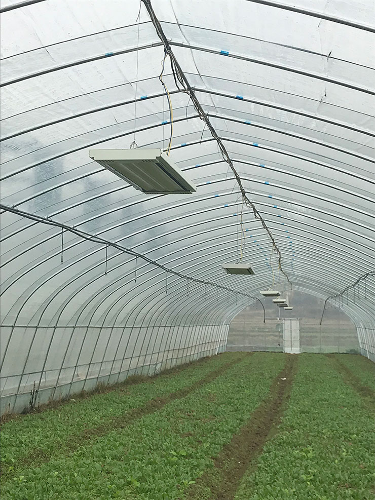 万利官网-相信品牌力量