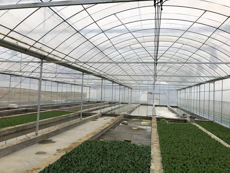 万利官网-相信品牌力量