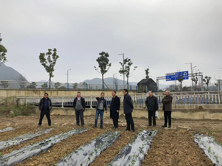 万利官网-相信品牌力量