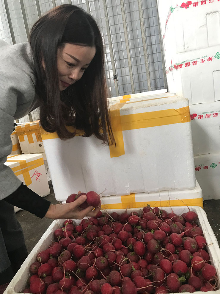 万利官网-相信品牌力量