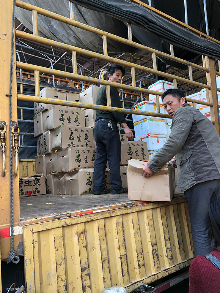 万利官网-相信品牌力量