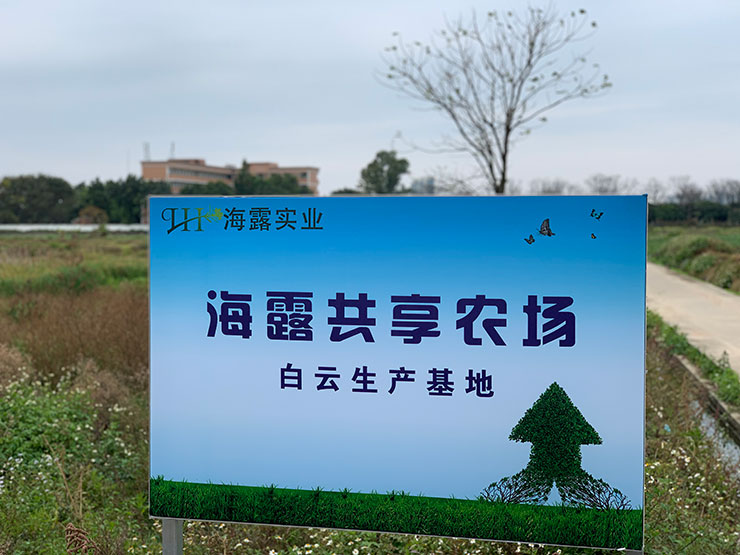 万利官网-相信品牌力量