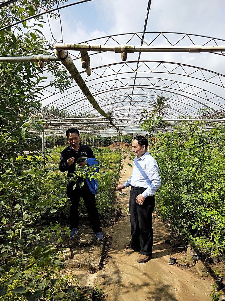 万利官网-相信品牌力量