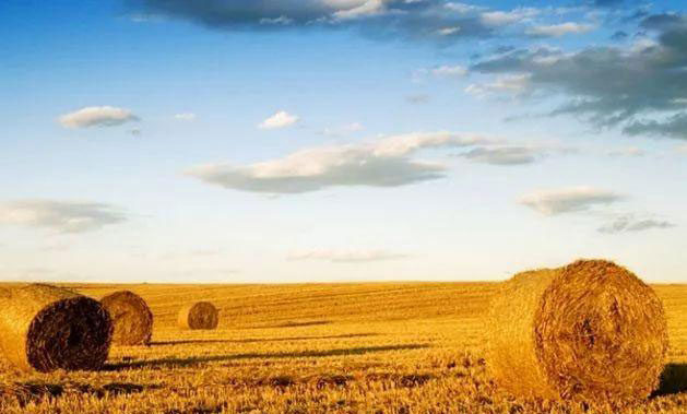 万利官网-相信品牌力量