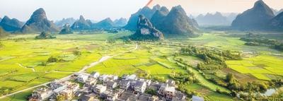 万利官网-相信品牌力量