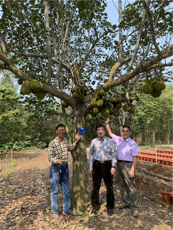 万利官网-相信品牌力量