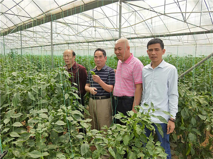 万利官网-相信品牌力量