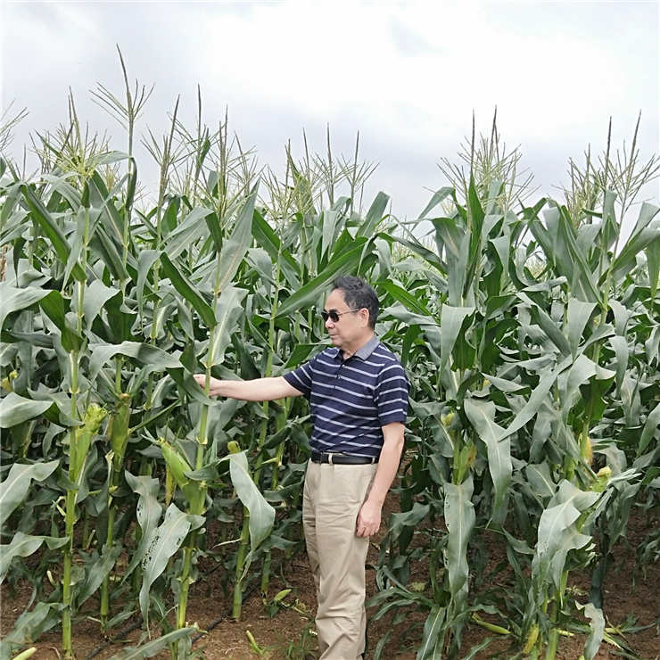 万利官网-相信品牌力量