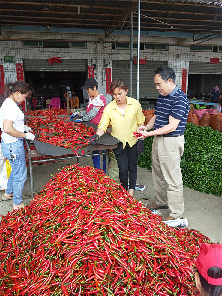 万利官网-相信品牌力量