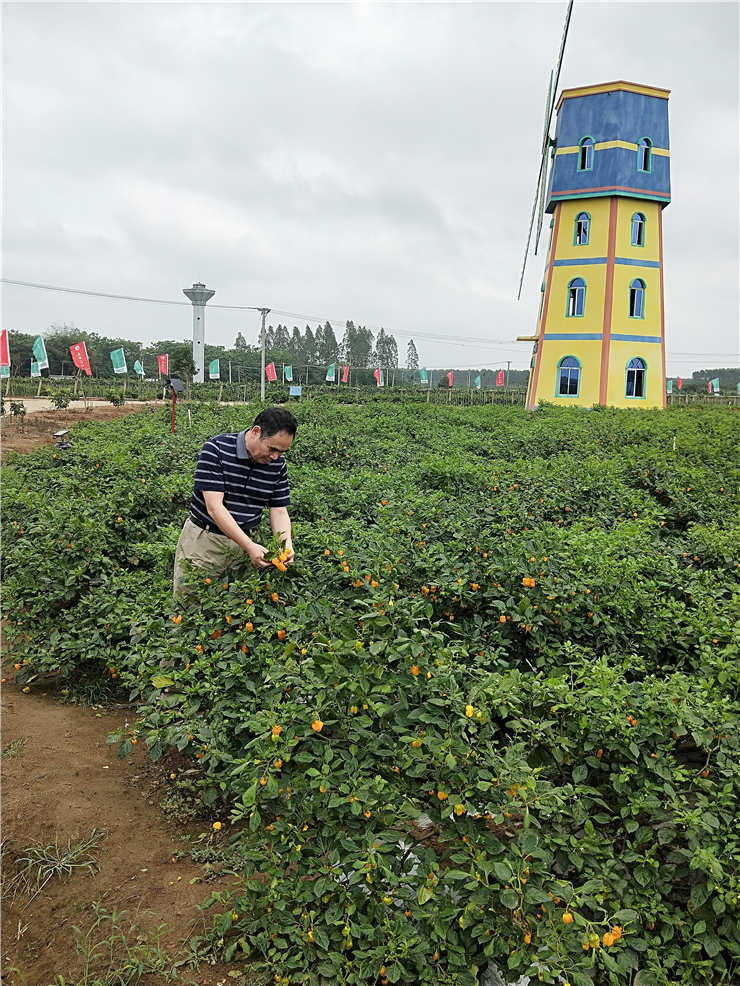 万利官网-相信品牌力量