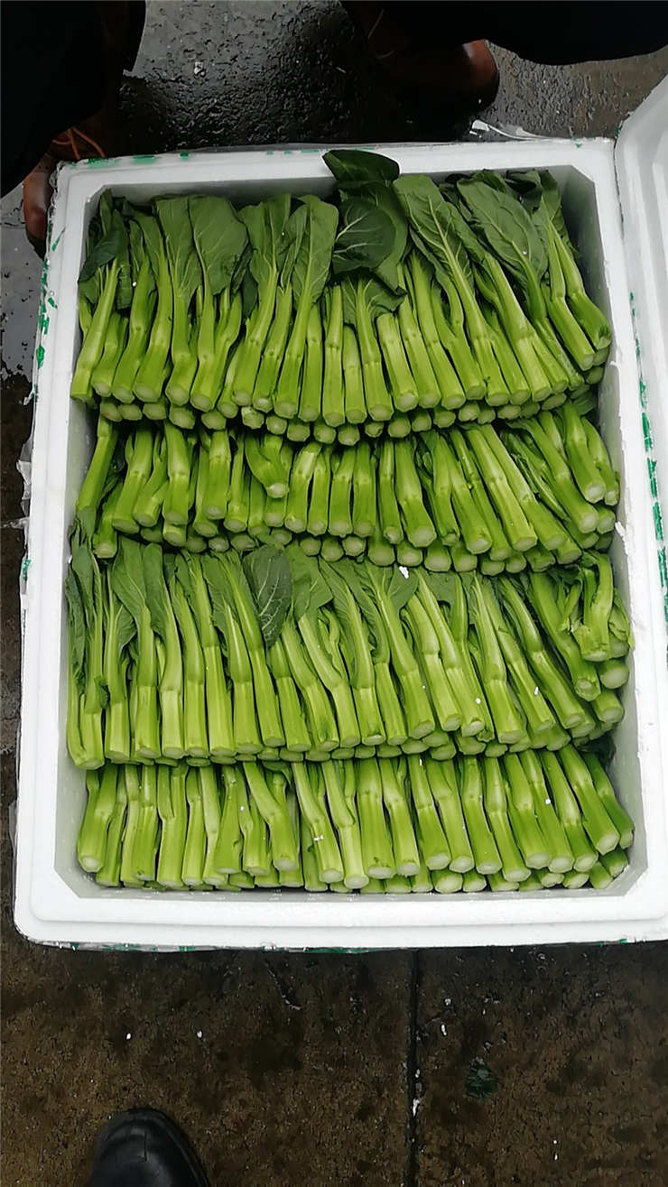 万利官网-相信品牌力量