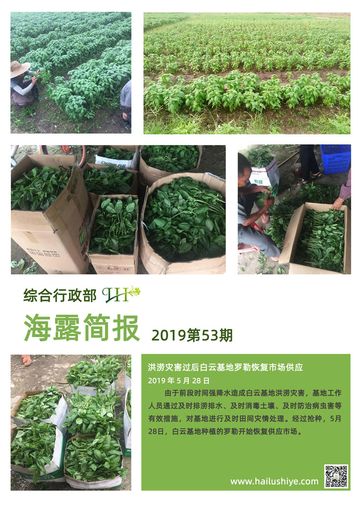 万利官网-相信品牌力量