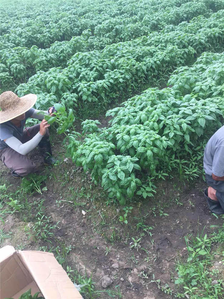 万利官网-相信品牌力量