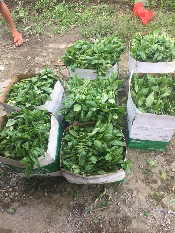 万利官网-相信品牌力量