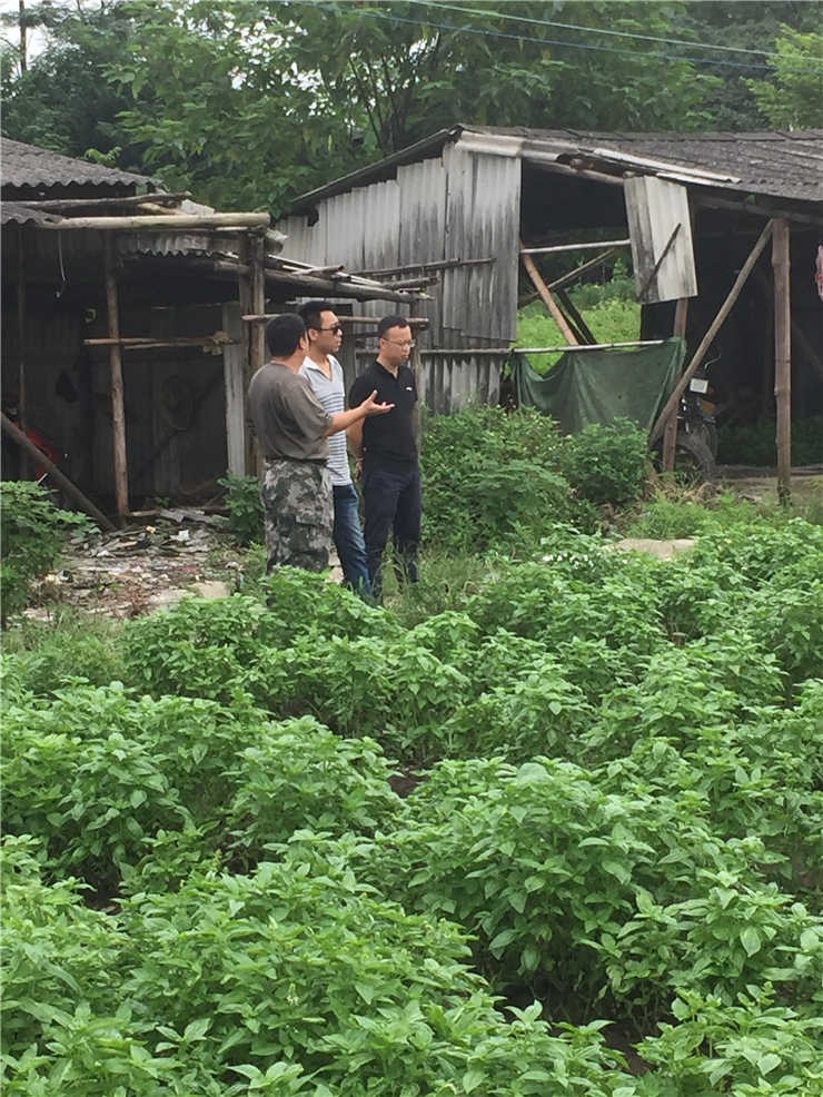 万利官网-相信品牌力量