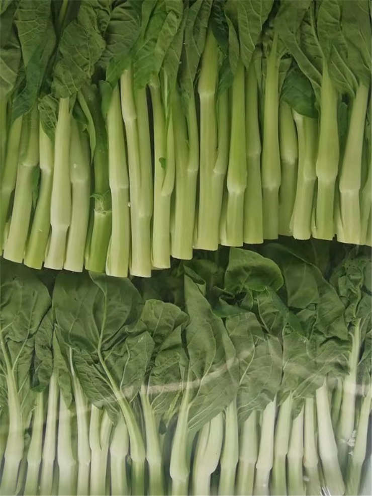 万利官网-相信品牌力量