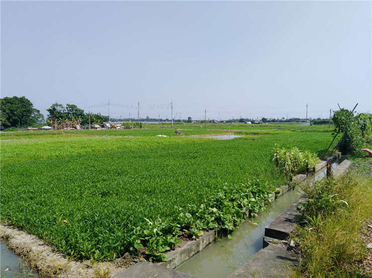 万利官网-相信品牌力量