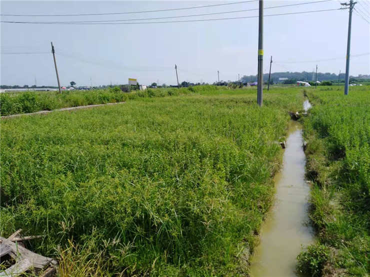 万利官网-相信品牌力量