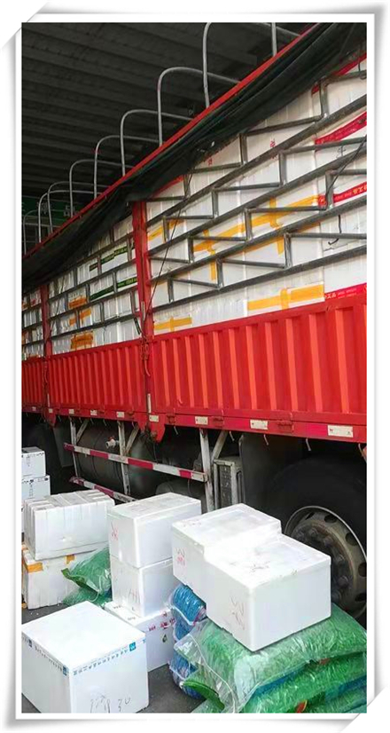 万利官网-相信品牌力量