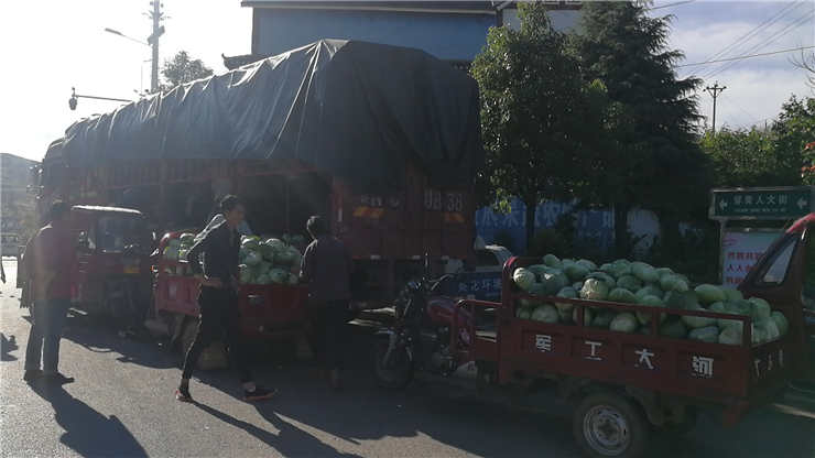 万利官网-相信品牌力量