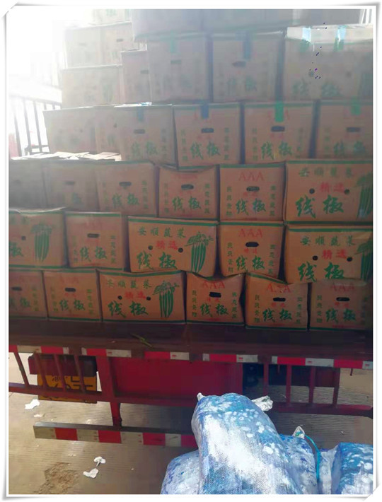 万利官网-相信品牌力量