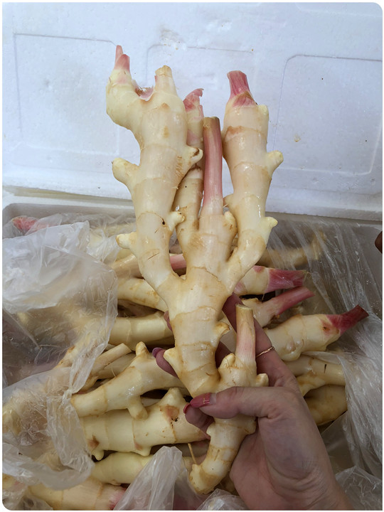 万利官网-相信品牌力量