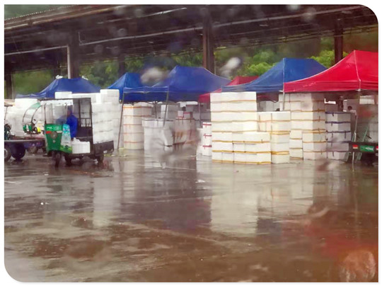 万利官网-相信品牌力量