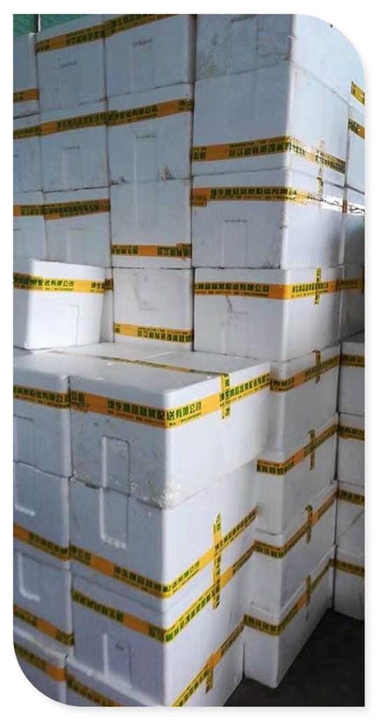 万利官网-相信品牌力量