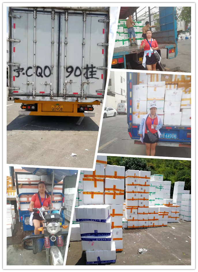 万利官网-相信品牌力量