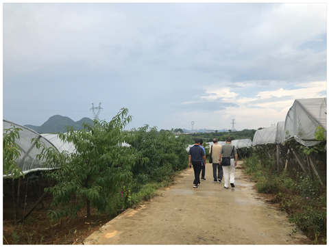 万利官网-相信品牌力量