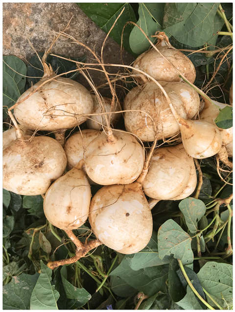 万利官网-相信品牌力量