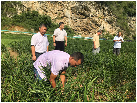 万利官网-相信品牌力量