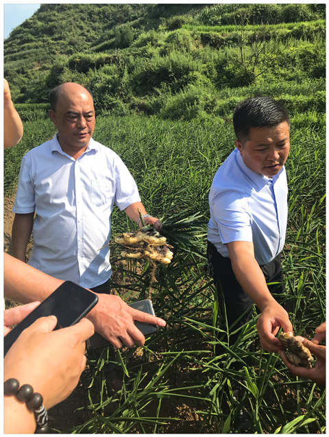 万利官网-相信品牌力量