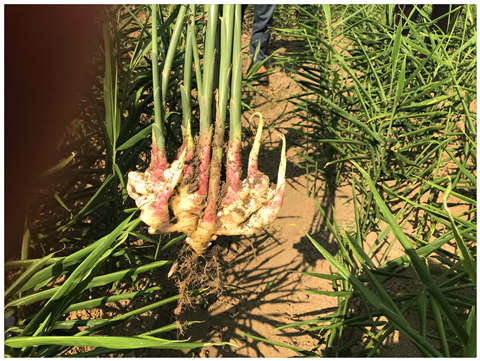 万利官网-相信品牌力量