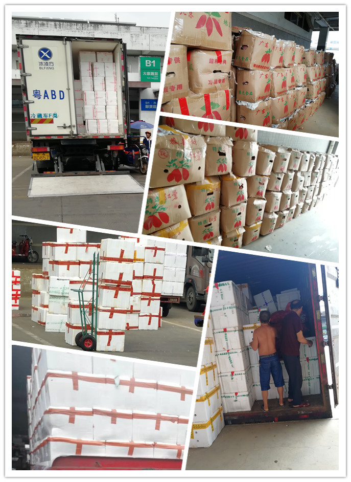 万利官网-相信品牌力量