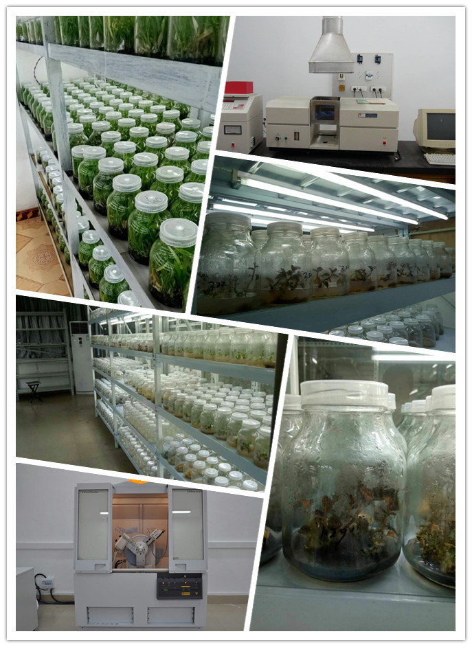 万利官网-相信品牌力量