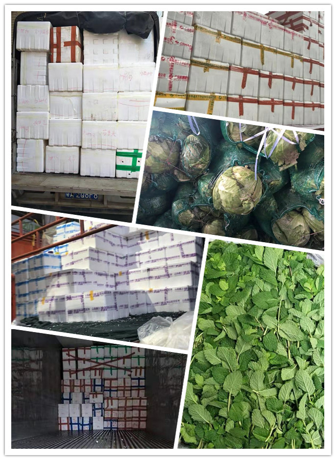 万利官网-相信品牌力量