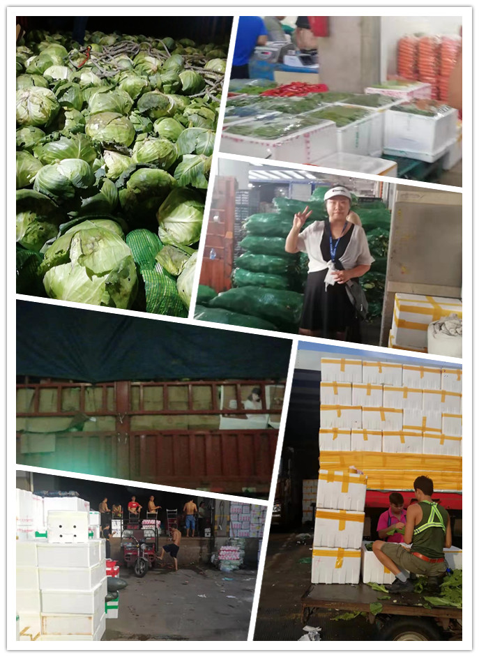 万利官网-相信品牌力量