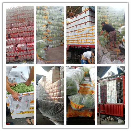 万利官网-相信品牌力量