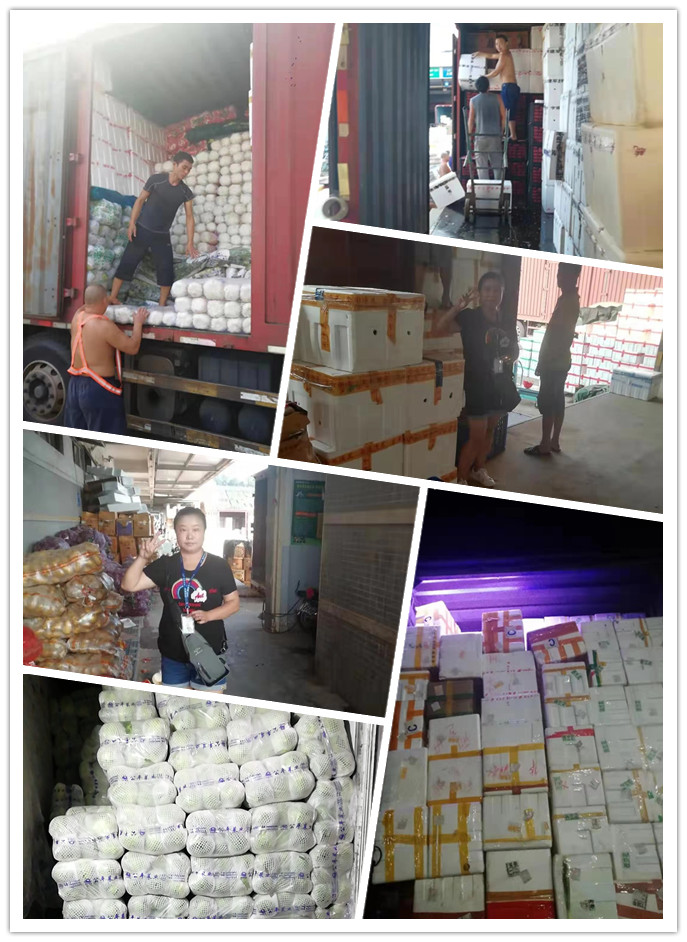 万利官网-相信品牌力量